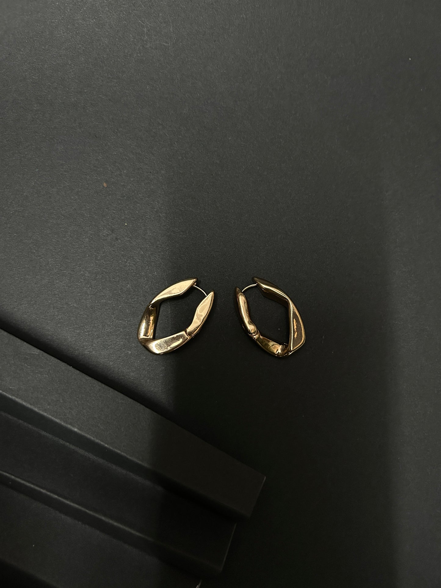 Aurora Wings Earings